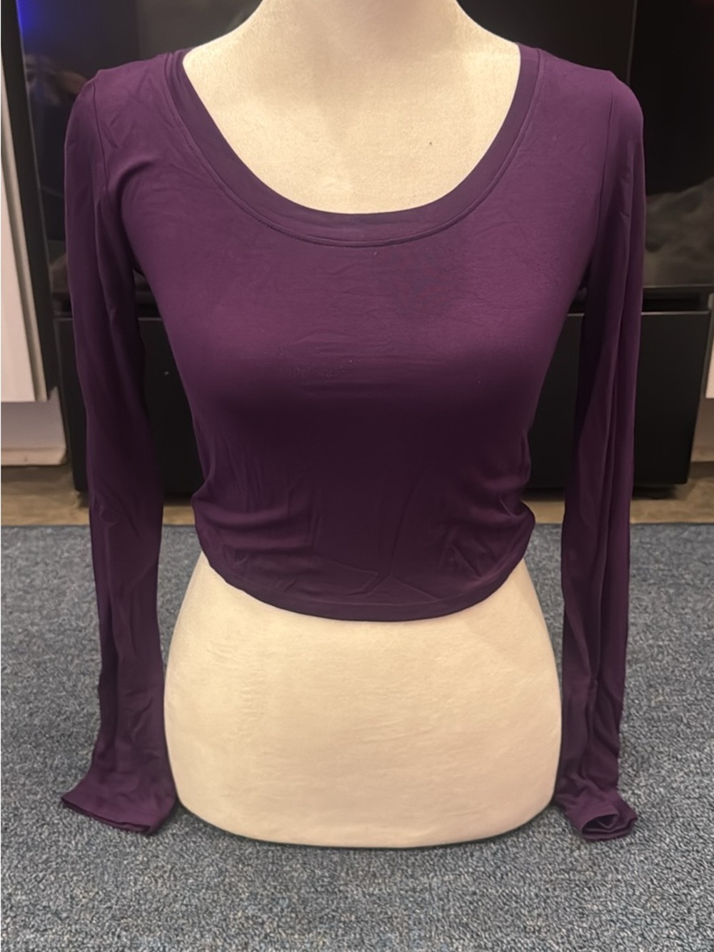 Everyday Scoop Neck Long Sleeve Top - Purple